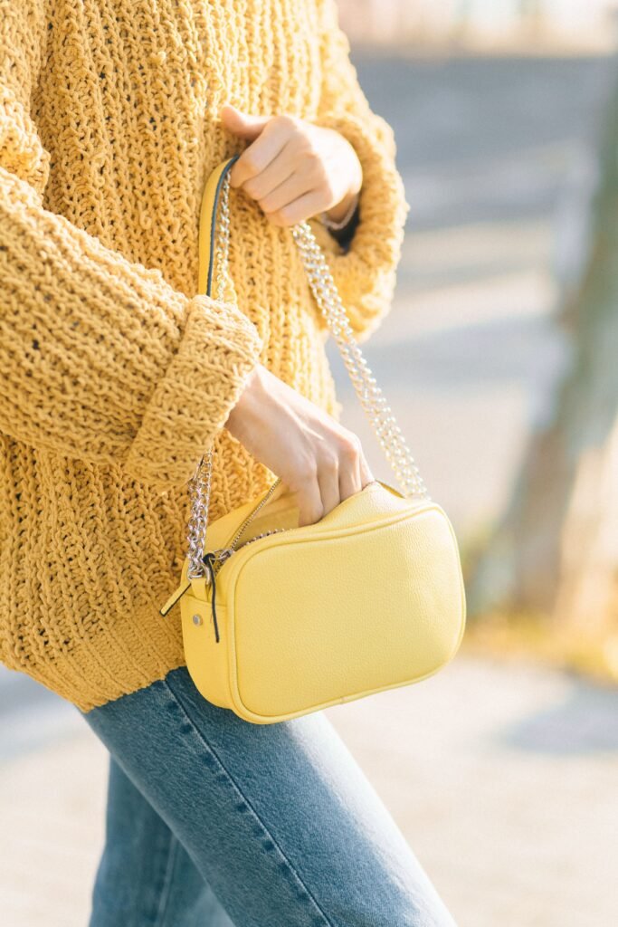 Beautiful and attractive handbag in DupeMuse as a portfolio image.